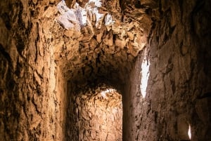 Z Mendozy: Villavicencio, prywatna wycieczka Uspallata z grillem