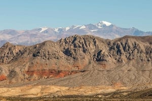 Z Mendozy: Villavicencio, prywatna wycieczka Uspallata z grillem