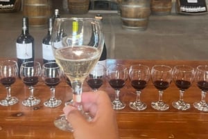 Fra Mendoza: omvisning på vingård, sjokoladefabrikk, destilleri og olivenhage