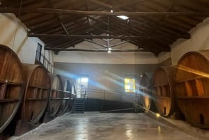 Fra Mendoza: omvisning på vingård, sjokoladefabrikk, destilleri og olivenhage