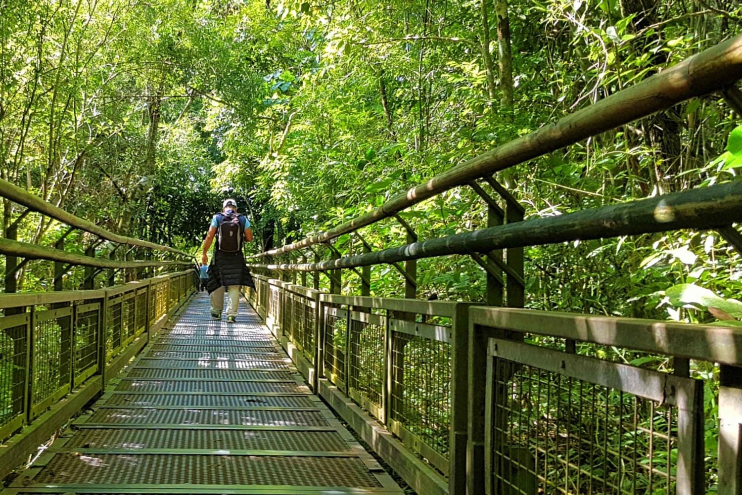 Depuis Puerto Iguazu : Chutes d'Iguazu en Argentine avec tour en bateau