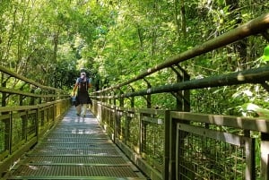 Depuis Puerto Iguazu : Chutes d'Iguazu en Argentine avec tour en bateau