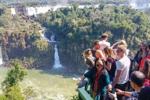 Vanuit Puerto Iguazu: Argentijnse Iguazu watervallen met ticket