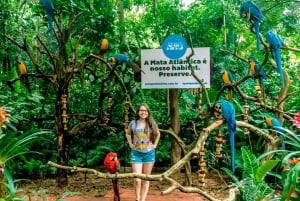 From Puerto Iguazú: Brazilian Bird Park Tour with Tickets