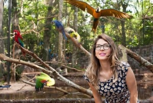 Desde Puerto Iguazú: Excursión al Parque de las Aves de Brasil con entradas