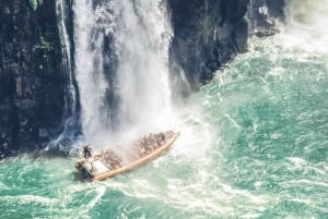 From Puerto Iguazu: Brazilian Falls with Boat Adventure