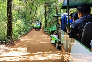 From Puerto Iguazu: Brazilian Falls with Boat Adventure