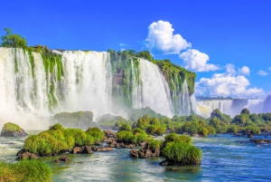 From Puerto Iguazu: Brazilian Side of the Falls with Ticket