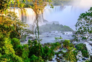 From Puerto Iguazu: Brazilian Side of the Falls with Ticket