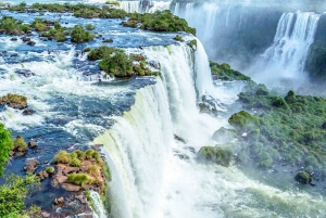 Fra Puerto Iguazu: Brasiliansk side av fossen med billett