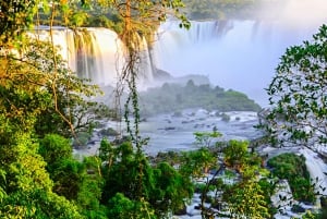Fra Puerto Iguazu: Brasiliansk side av fossen med billett