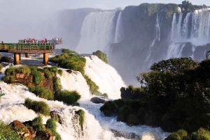 From Puerto Iguazu: Half-Day Brazilian Falls Excursion