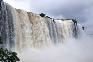 From Puerto Iguazu: Half-Day Brazilian Falls Excursion