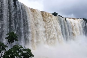 Desde Puerto Iguazú: Excursión de medio día a las Cataratas Brasileñas