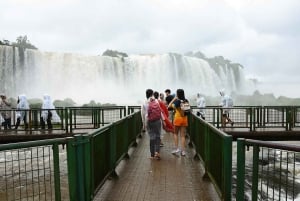 Desde Puerto Iguazú: Excursión de medio día a las Cataratas Brasileñas