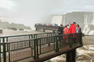Desde Puerto Iguazú: Excursión de medio día a las Cataratas Brasileñas