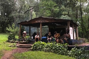 Ab Puerto Iguazú: Tour zu San-Ignacio-Ruinen und Wanda-Minen
