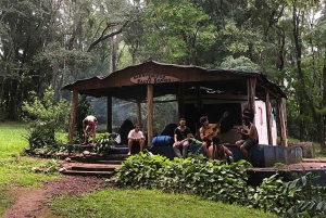 From Puerto Iguazu: San Ignacio Ruins and Wanda Mines Tour