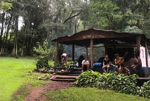 Desde Puerto Iguazú: Excursión a las Ruinas de San Ignacio y Minas de Wanda