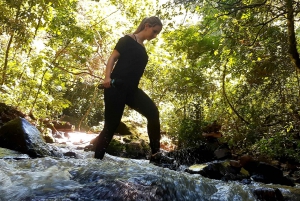 From Puerto Iguazu: Secret Falls Adventure