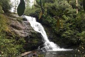 From Puerto Iguazu: Secret Falls Adventure