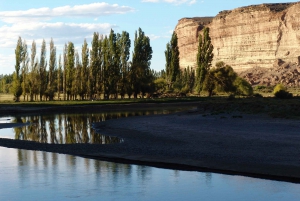 Z Puerto Madryn: Kolonie walijskie w dolinie rzeki Chubut