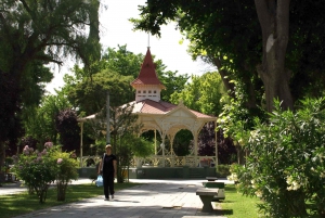 Desde Puerto Madryn: Colonias Galesas del Valle del Río Chubut