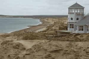 Z Puerto Madryn: Wycieczka po mieście i Punta Loma