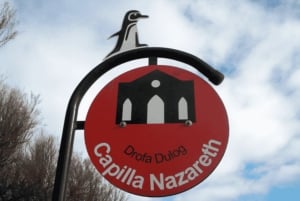 Z Puerto Madryn: Wycieczka po mieście i Punta Loma