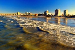 Z Puerto Madryn: Wycieczka po mieście i Punta Loma