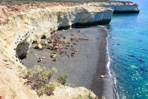 Z Puerto Madryn: Wycieczka po mieście i Punta Loma
