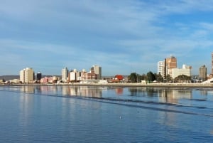 Z Puerto Madryn: Wycieczka po mieście i Punta Loma