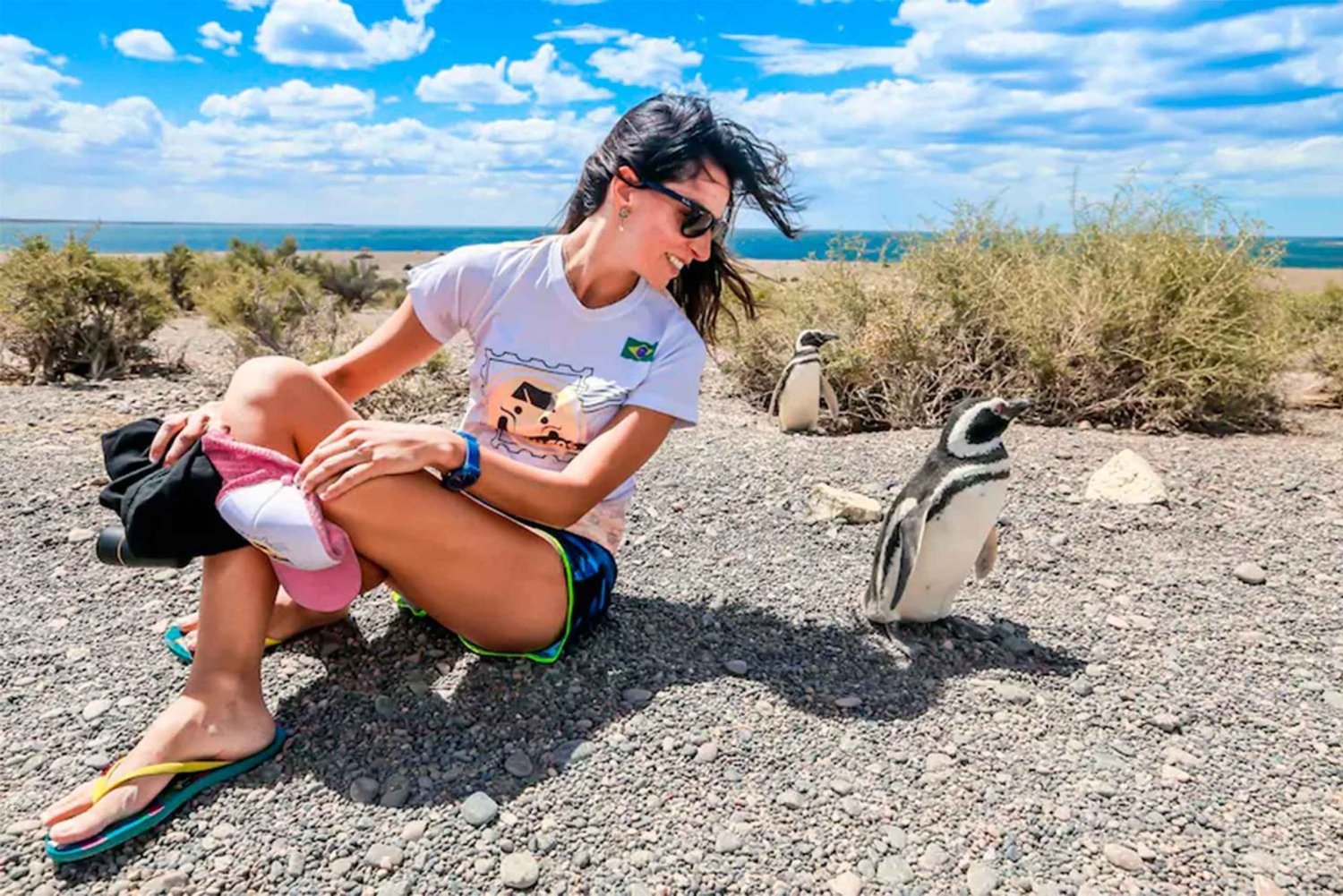 Från Puerto Madryn: Punta Tombo dagsutflykt med hotelltransfer