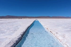 From Salta: 2 Day Guided Trip to Cafayate & Salinas Grandes
