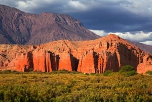 Fra Salta: 2-dages guidet tur til Cafayate & Salinas Grandes