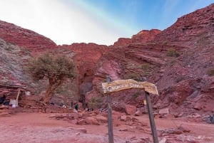 Fra Salta: 2-dages guidet tur til Cafayate & Salinas Grandes
