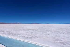 Fra Salta: 2-dages guidet tur til Cafayate & Salinas Grandes