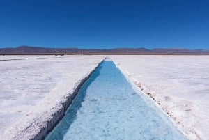 Fra Salta: 2-dages guidet tur til Cafayate & Salinas Grandes