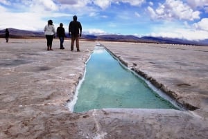 Fra Salta: 2-dages guidet tur til Cafayate & Salinas Grandes