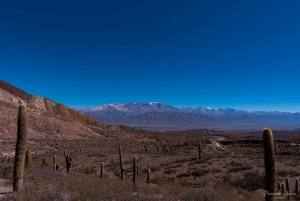 From Salta: 3-Day Trip to Salinas Grandes, Cachi & Hornocal