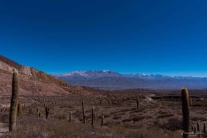 Desde Salta: Viaje de 4 días por la Provincia de Salta y Salinas Grandes