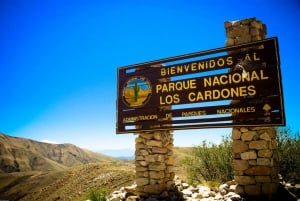 Von Salta aus: Tour durch den Cachi und Los Cardones National Park