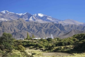 Fra Salta: Tur til nationalparkerne Cachi og Los Cardones
