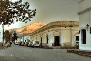 Vanuit Salta: Rondleiding door het Nationaal Park Cachi en Los Cardones