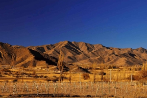 De Salta: Cachi, Humahuaca e Salinas Grandes em 3 dias