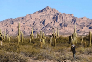 From Salta: Cachi, Humahuaca and Salinas Grandes in 3 days