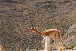 From Salta: Cachi, Humahuaca and Salinas Grandes in 3 days