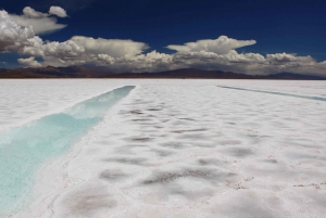 Z Salta: Cachi, Humahuaca i Salinas Grandes w 3 dni