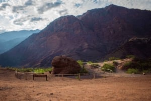 Da Salta:Cafayate e l'imponente Quebrada de las Conchas