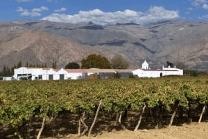 Salta:Cafayate ja vaikuttava Quebrada de las Conchas -vuori.